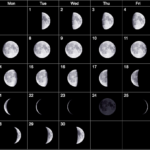 Moon Calendar November 2022