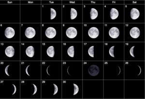Moon Calendar November 2022