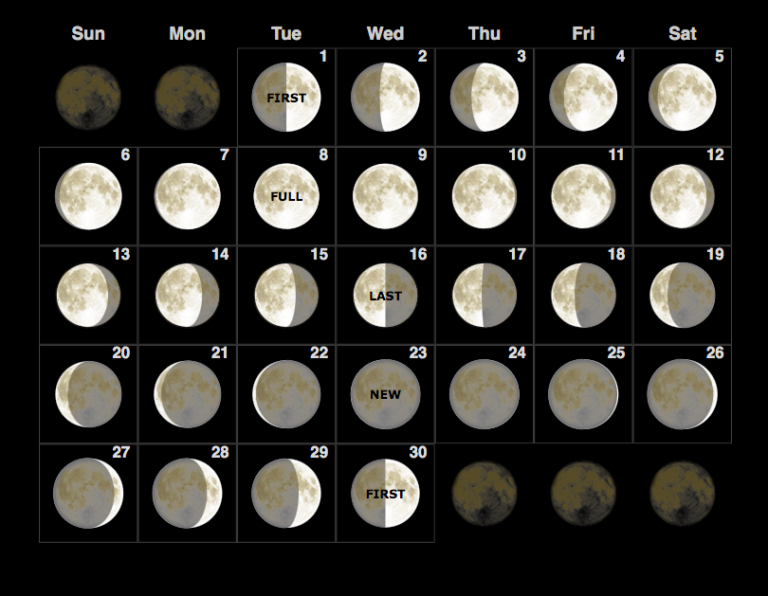 November 2022 Moon Phases Calendar | Lunar Templates - Printable ...