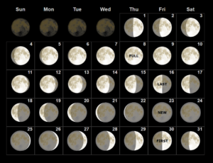 Moon Calendar December 2022